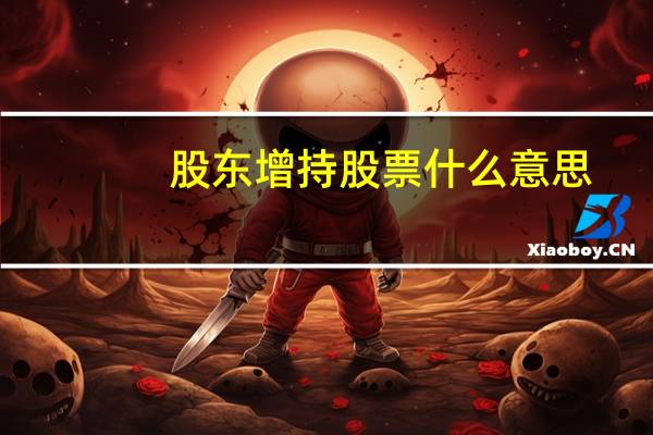 股东增持股票什么意思