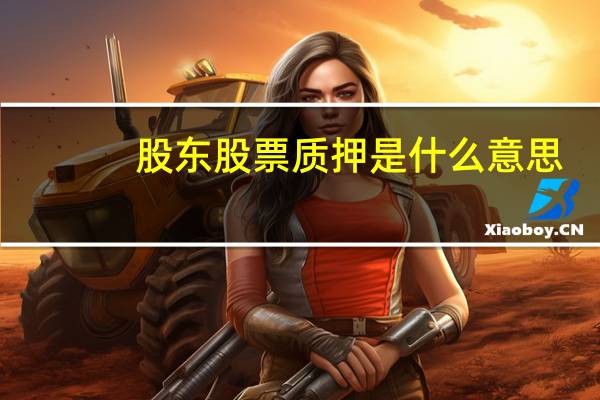 股东股票质押是什么意思
