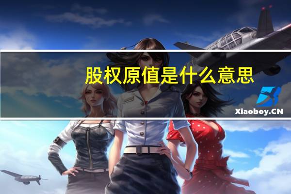 股权原值是什么意思