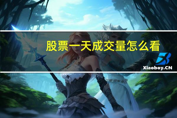 股票一天成交量怎么看