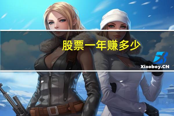 股票一年赚多少