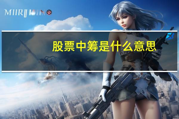 股票中筹是什么意思