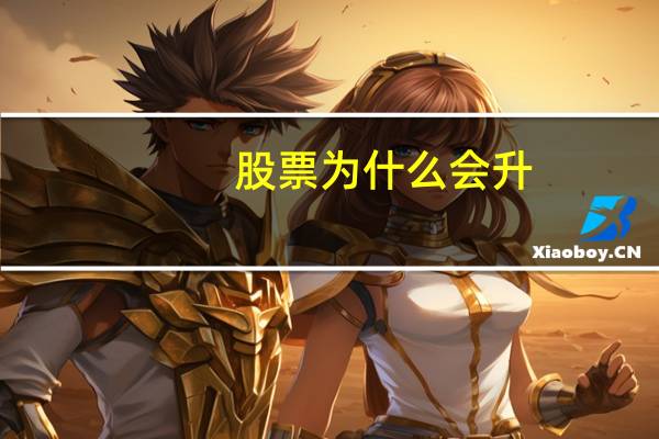 股票为什么会升