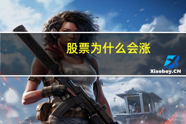 股票为什么会涨