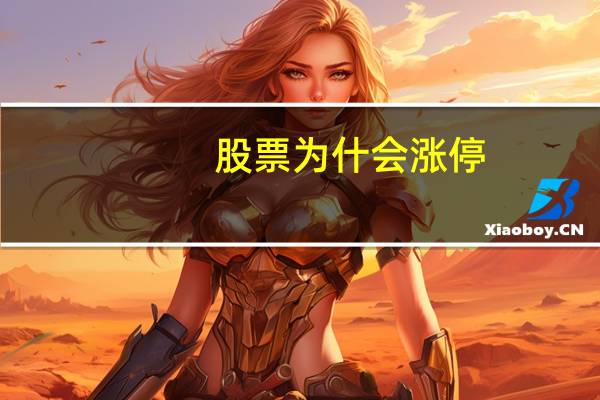 股票为什会涨停