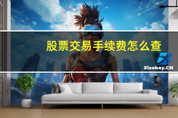 股票交易手续费怎么查