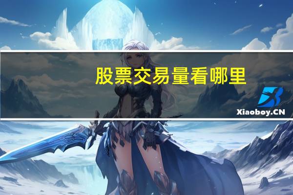 股票交易量看哪里