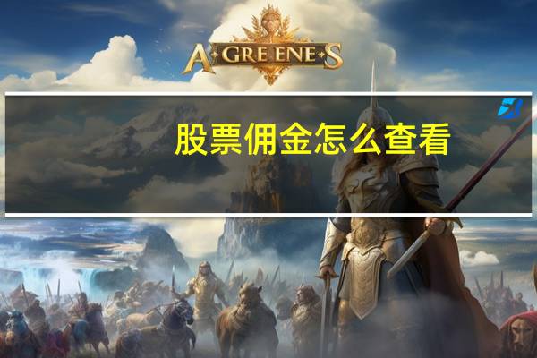 股票佣金怎么查看