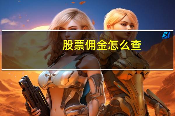 股票佣金怎么查