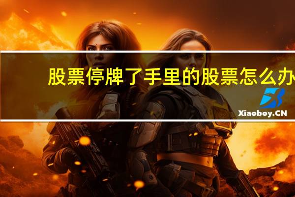股票停牌了手里的股票怎么办