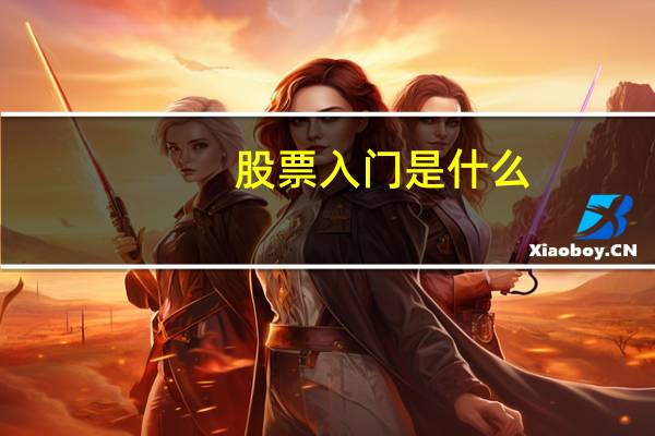 股票入门是什么