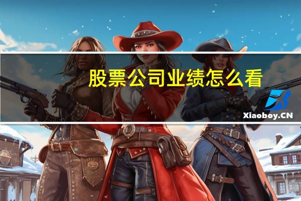股票公司业绩怎么看