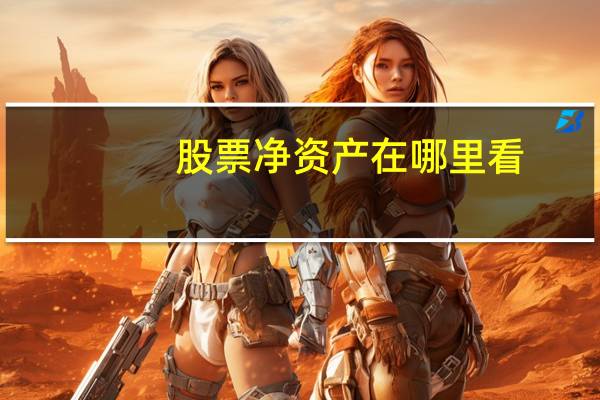 股票净资产在哪里看