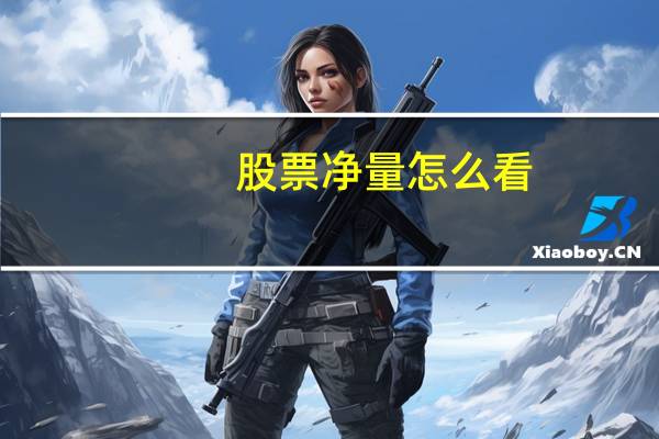 股票净量怎么看