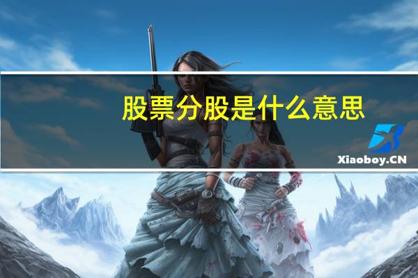 股票分股是什么意思