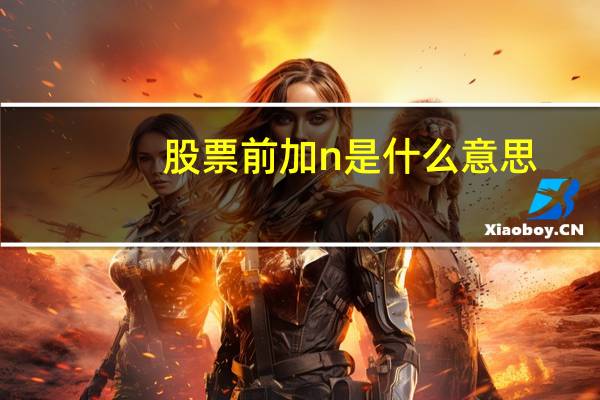 股票前加n是什么意思