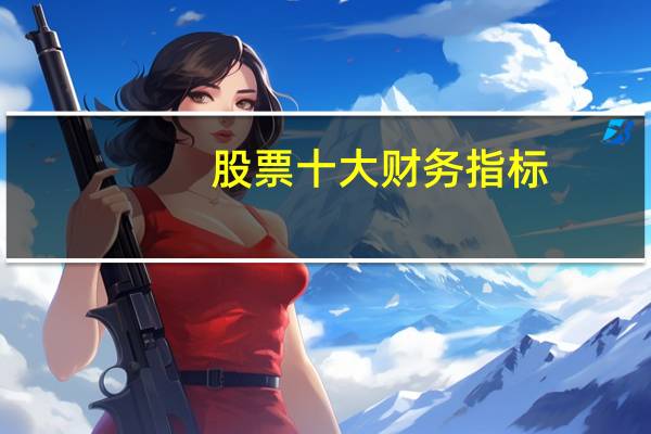 股票十大财务指标