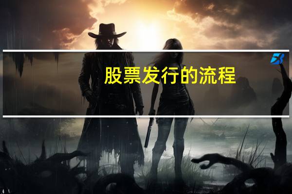 股票发行的流程