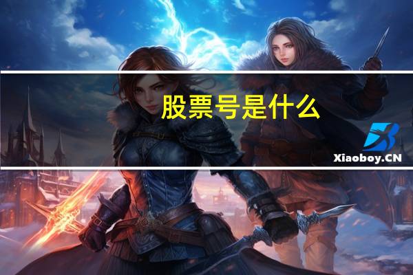 股票号是什么