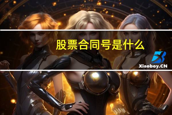 股票合同号是什么