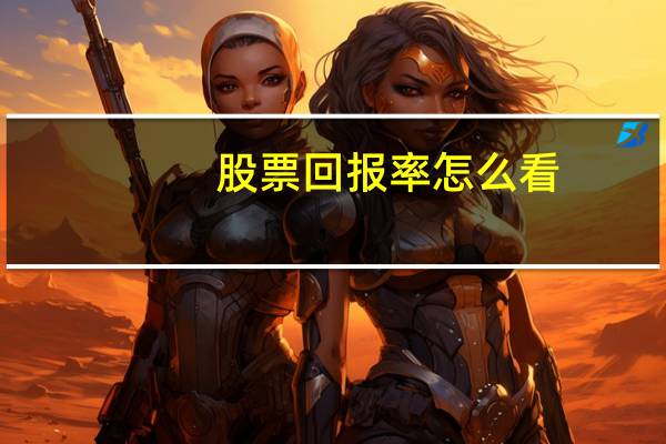 股票回报率怎么看