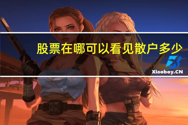 股票在哪可以看见散户多少