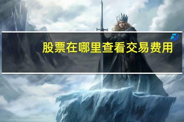 股票在哪里查看交易费用