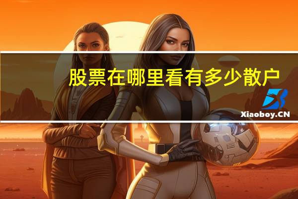 股票在哪里看有多少散户