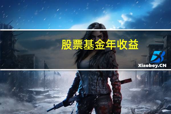 股票基金年收益