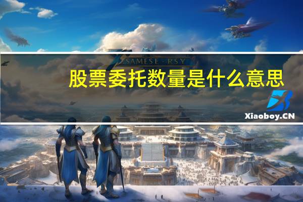 股票委托数量是什么意思