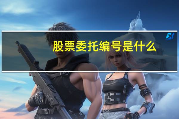 股票委托编号是什么