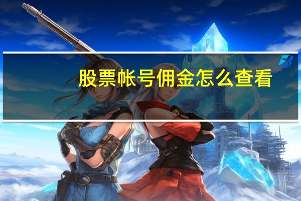 股票帐号佣金怎么查看
