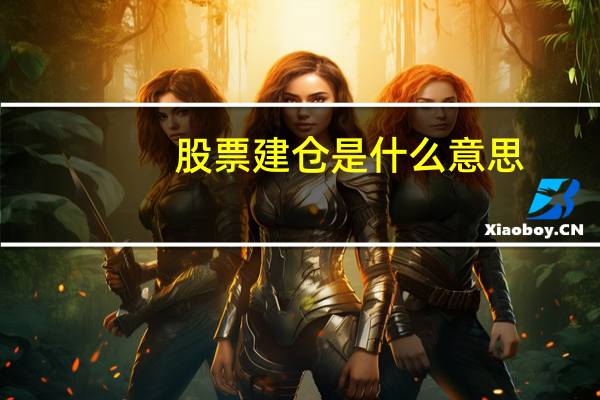 股票建仓是什么意思