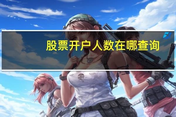 股票开户人数在哪查询