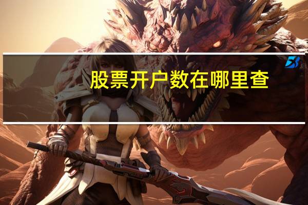 股票开户数在哪里查