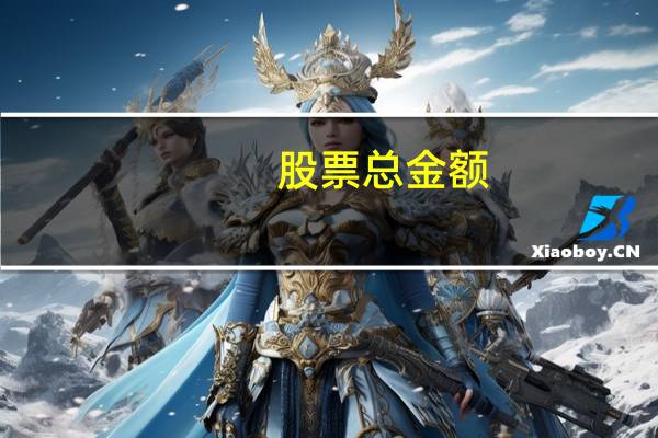 股票总金额