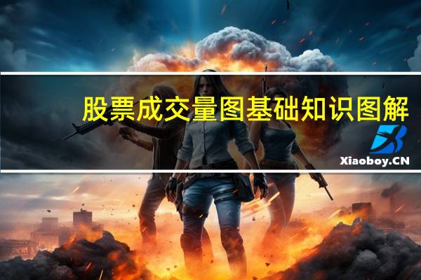 股票成交量图基础知识图解
