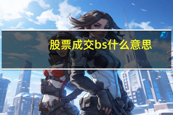 股票成交bs什么意思