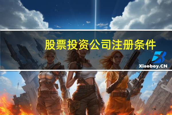 股票投资公司注册条件