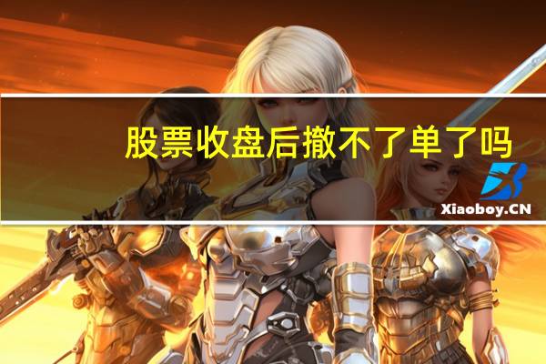 股票收盘后撤不了单了吗