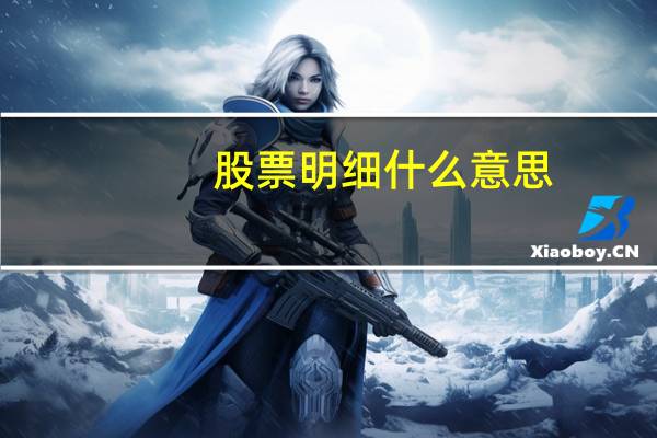 股票明细什么意思