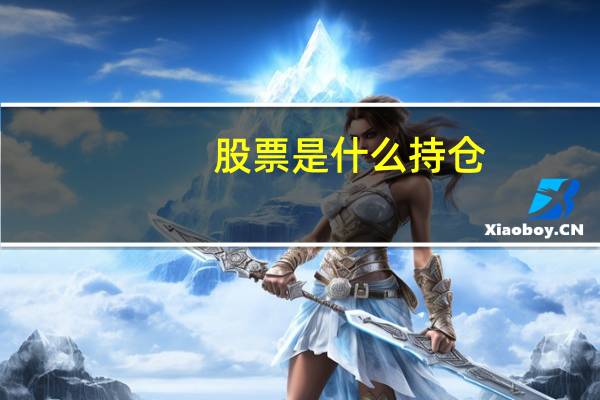 股票是什么持仓