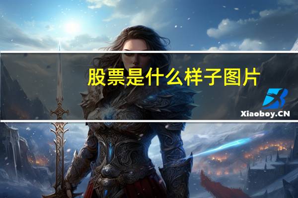 股票是什么样子图片