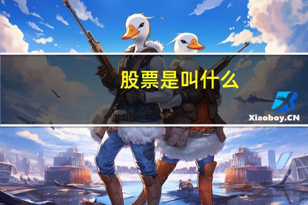 股票是叫什么
