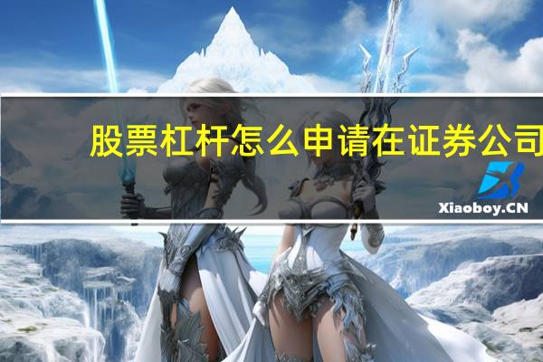 股票杠杆怎么申请在证券公司