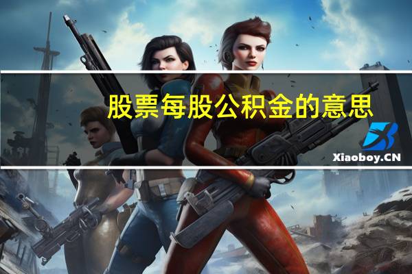 股票每股公积金的意思