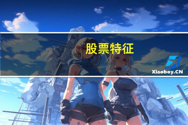 股票特征