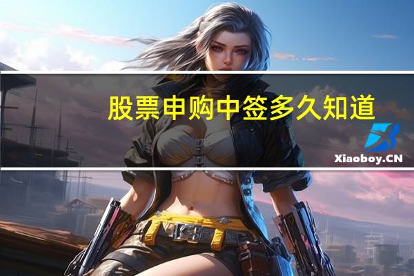 股票申购中签多久知道