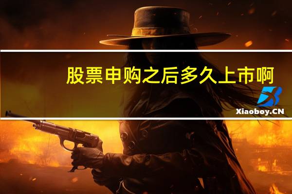 股票申购之后多久上市啊