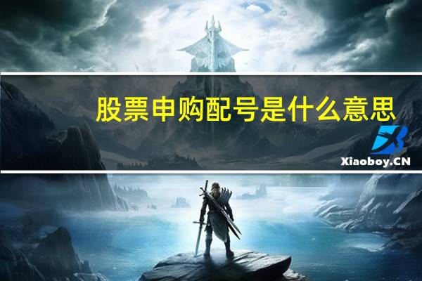 股票申购配号是什么意思